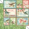 Bird Watcher - Learn to Fly Bird Watcher - Learn to Fly