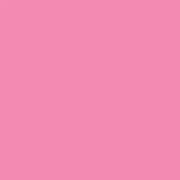 CardStock / Pink Punch / Canvas
