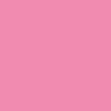 CardStock / Pink Punch / Canvas
