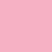 CardStock / Sweetie Pie / Canvas