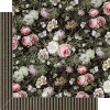 Elegance - Exquisite Elegance - Exquisite