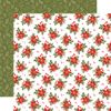 Popular Poinsettia Popular Poinsettia