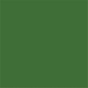 CardStock / Holiday Green / Classic