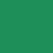 CardStock / Kelly Green / Heavyweight