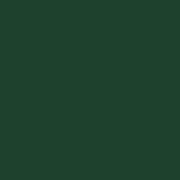 CardStock / Pine Forest / Canvas