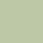 Carrdstock / Sage