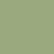 Cardstock / Olive