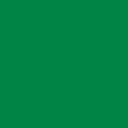 Cardstock / Fern Green