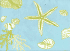 Aqua Seashell Baby Bedding
