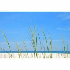 Beach Decor