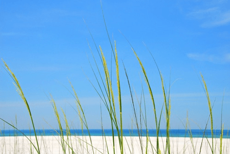 Beach Decor