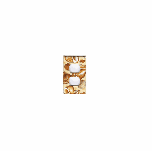 Outlet Seashell