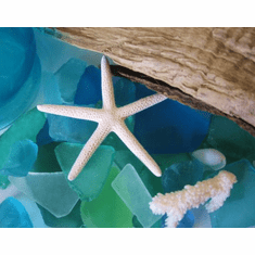 Sea Glass Decor