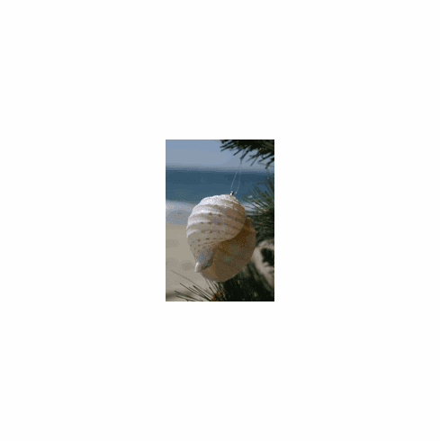 Seashell Ornament Round