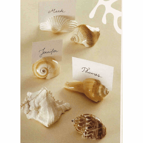Seashell Placecard Holders