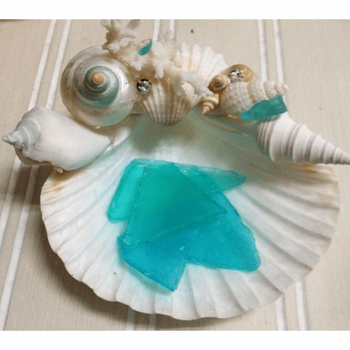 Seashell Soap Dish