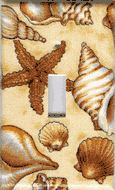 Seashell switchplates