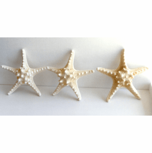 Set of 3 Knobby Starfish