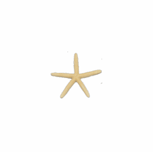 White Finger Starfish
