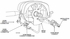 BRUSH CONTACT-HORN-W/HARNESS 6016500