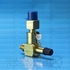 VALVE ASSEMBLY, CTIS QUICK DISCONNECT (ALL MODELS) 6005109
