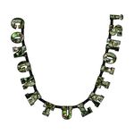 Next Camo Congratulations Banner