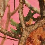 Next Camo Pink Beverage Napkins