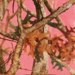 Next Pink Camo Luncheon Napkins