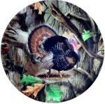 Turkey + Camo Party Paper Plates - 9"