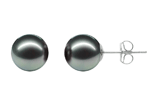 8-8.5mm Gray Tahitian Pearl Stud Earrings AAA Quality