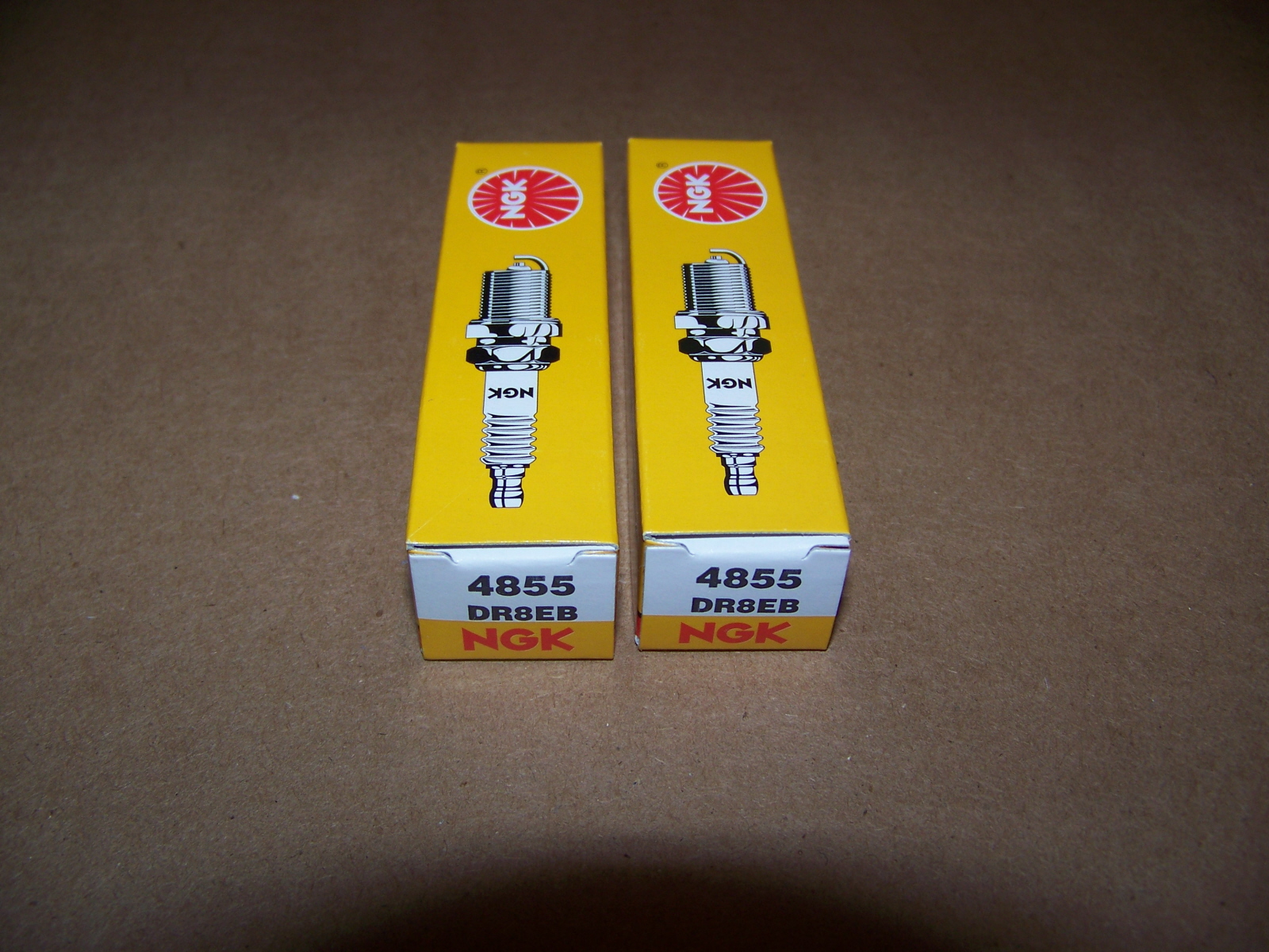 Set Of Two NGK DR8EB Spark Plugs For Dual Spark F650 Bikes From 2004 On