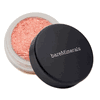 Bare Minerals Soft Focus Face Color in True 