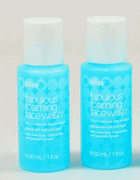 Bliss Fabulous Foaming Face Wash - Lot of 2 - Original Formula!