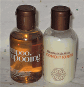 Bliss Shine Mandarin and Mint Shampoo and Conditioner Set