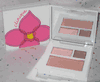Clinique All About Shadow Duo in Strawberry Fudge and Pink Blush