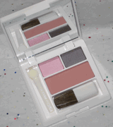 Clinique All About Shadow Duo in Uptown Downtown and Bubble Bath and Soft-Pressed Powder Blusher in New Clover