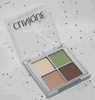 Clinique All About Shadow Quad in Pink Chocolate, Sand Dunes, Sunset Glow and Lemongrass