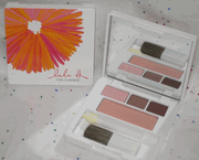 Clinique All About Shadow Trio in Day into Date and Strawberry Fudge Duo and Pink Blush