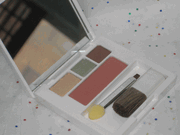 Clinique Colour Surge Eye Shadow Trio in Daybreak, Sparkling Sage, Like Mink and Fig Blush