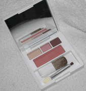Clinique Colour Surge Eye Shadow Trio in Like Mink, Pink Chocolate, Chocolate Chip and Fig Blush