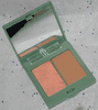 Clinique Rich Texture Blush and Touch of Bronze Duo in Rich Coral and Matte Bronze