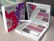 Clinique Shadow Duo Like Mink and Smoldering Plum Blush