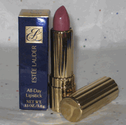 Estee Lauder All Day Lipstick in Winter Rose - Discontinued