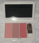 Estee Lauder Pure Color Blush in Peach Passion, Sensuous Rose and Wild Sunset