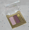 Estee Lauder Color Intensity Microfine Powder Eyeshadow Duo in Blossom and Tulip