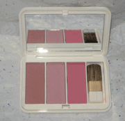 Estee Lauder Pure Color Blush in Alluring Rose, Audacious Plum and Exotic Pink