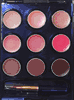 Estee Lauder Pure Color Crystal and Pure Color Long Last Lipstick Palette with Crystal Baby, Innocence, Plum Fizz, Crystal Pink, Sunstone, Tiger Eye, Rubellite, Black Wine and Beige