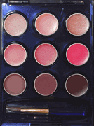 Estee Lauder Pure Color Crystal and Pure Color Long Last Lipstick Palette with Crystal Baby, Innocence, Plum Fizz, Crystal Pink, Sunstone, Tiger Eye, Rubellite, Black Wine and Beige