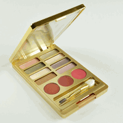 Estee Lauder Pure Color Eyeshadow and Lipstick Palette with Tiger Eye, Rose Tea and Pink Parfait Lipsticks