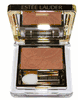 Estee Lauder Pure Color Eyeshadow in Kenyan Copper - Discontinued